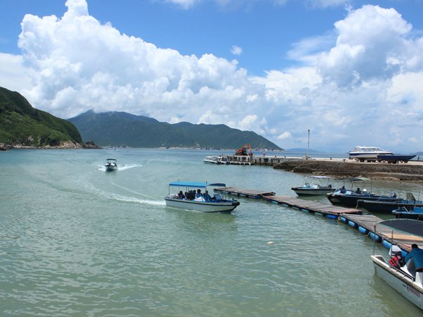 群英荟萃三门岛，文韬武略决霸主